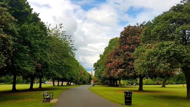 Hall Park - Image 2