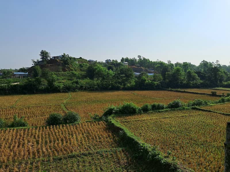 PM Khali Hills - Image 3