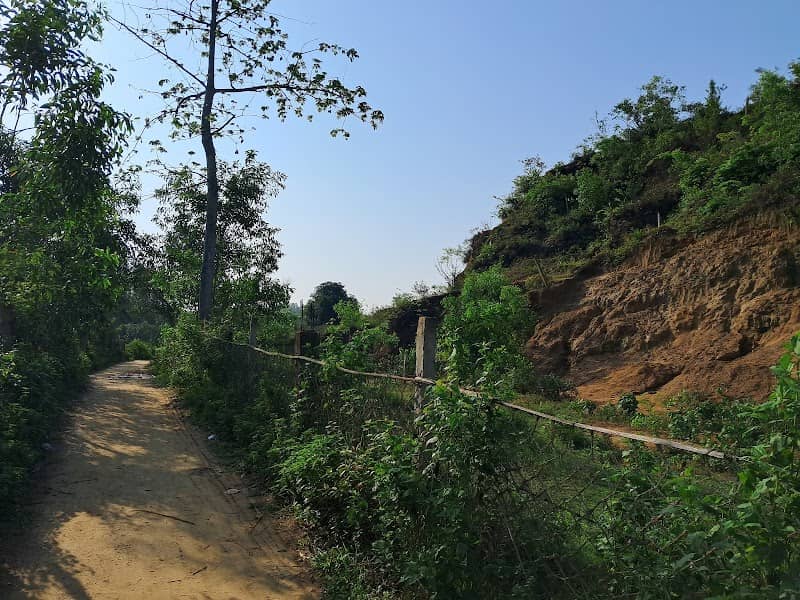 PM Khali Hills - Image 1