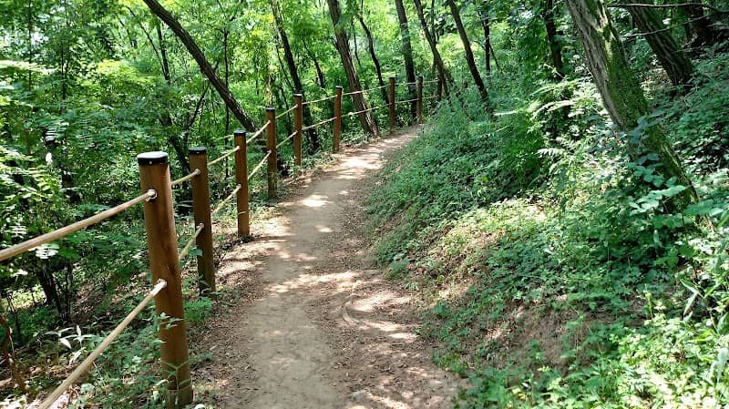 대불공원 - Image 1