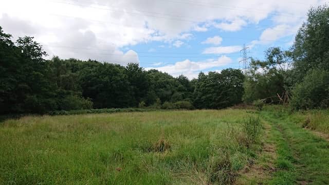 Whiston Meadows - Image 1