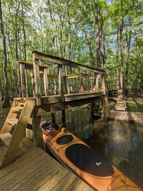 Beaver Lodge and Beaver Tail - Image 3
