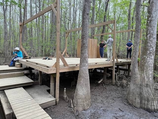 Beaver Lodge and Beaver Tail - Image 2