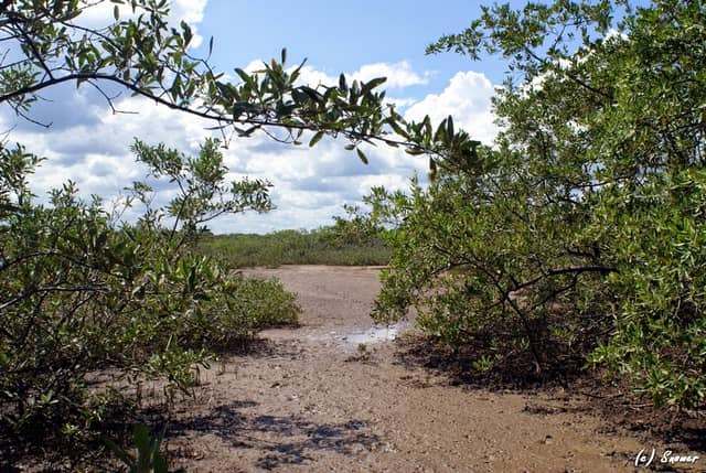 Refugio de Vida Silvestre Peñón de La Honda - Image 1