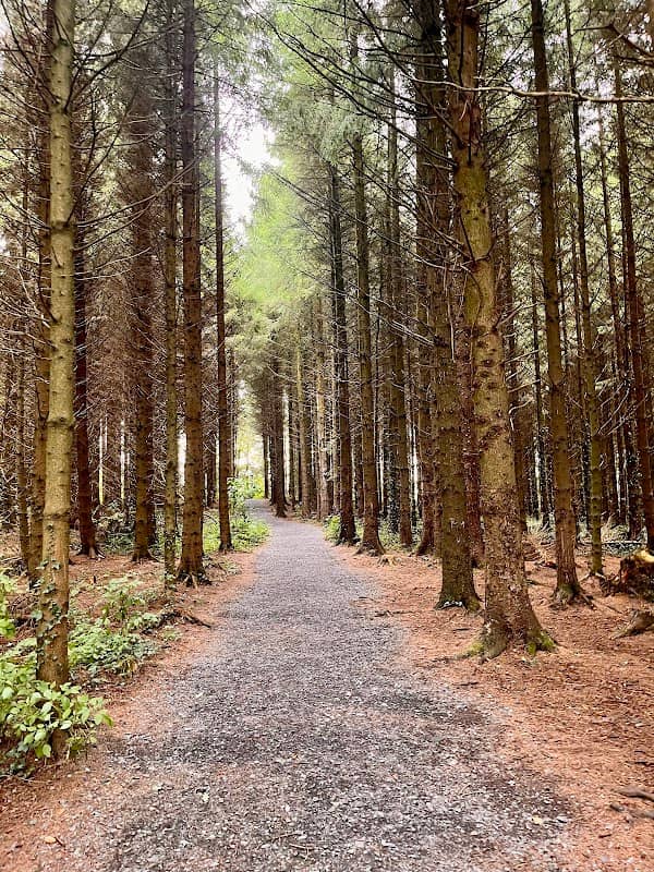 Scragh Bog Trail Head - Image 2