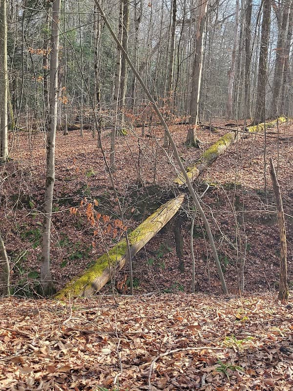 Cleveland Metroparks - Image 3