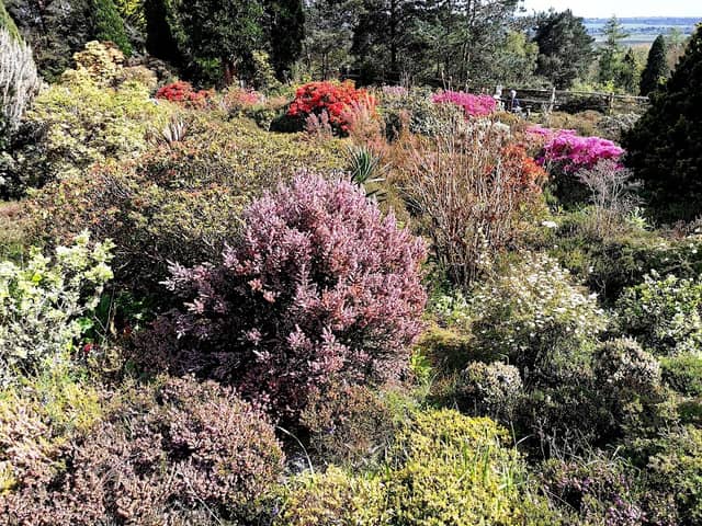 Champs Hill - Image 2