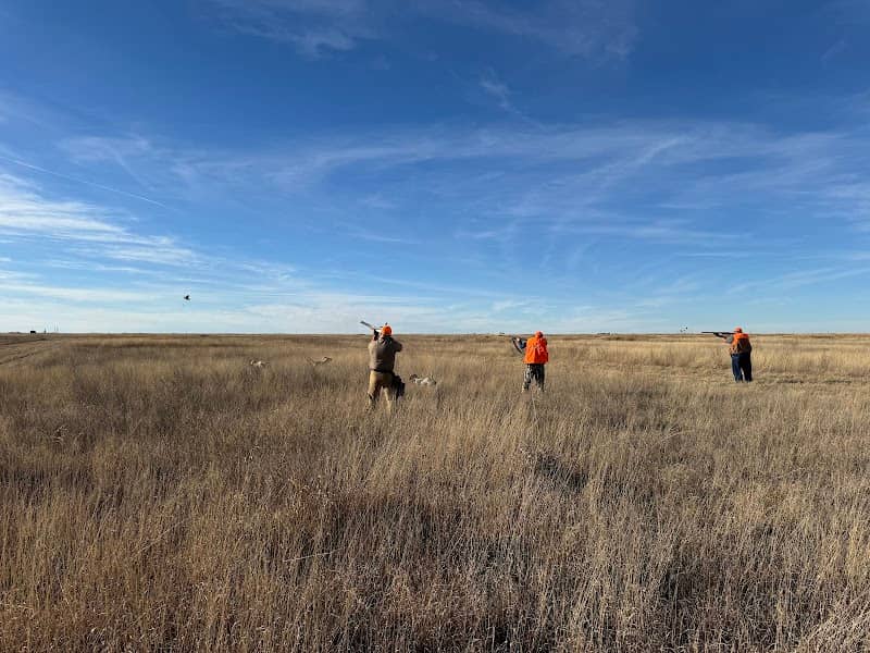 Hunt Golden Prairie - Image 3
