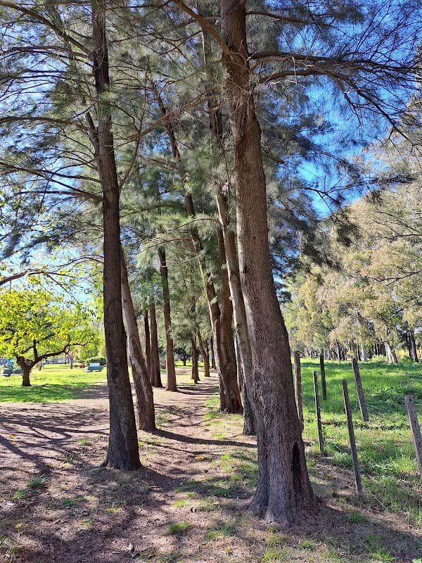 Plaza Juan Pablo II - Image 1