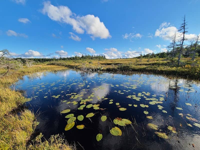 Bog Trailhead - Image 1