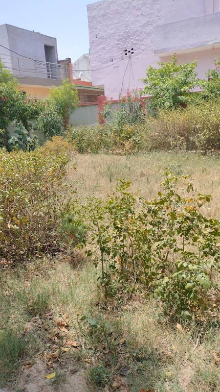 Manorath Garden - Image 1