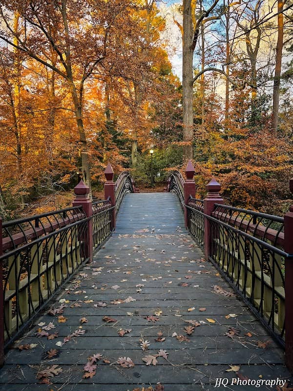 Crim Dell Bridge - Image 1