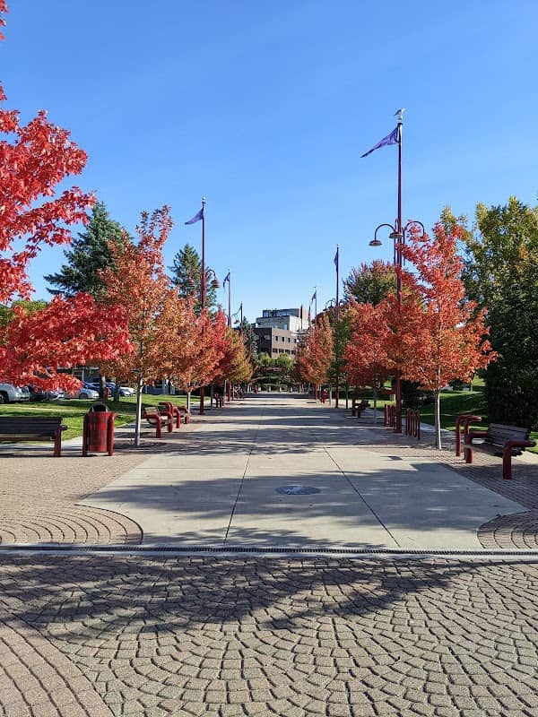 Central Promenade - Image 3
