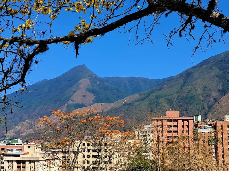 Mirador Palo Verde - Image 1