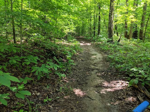 Collins River Nature Trail: Hiking & Mountain Biking Trailhead - Image 1