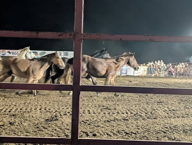 Chattahoochee Pro Rodeo - Image 1
