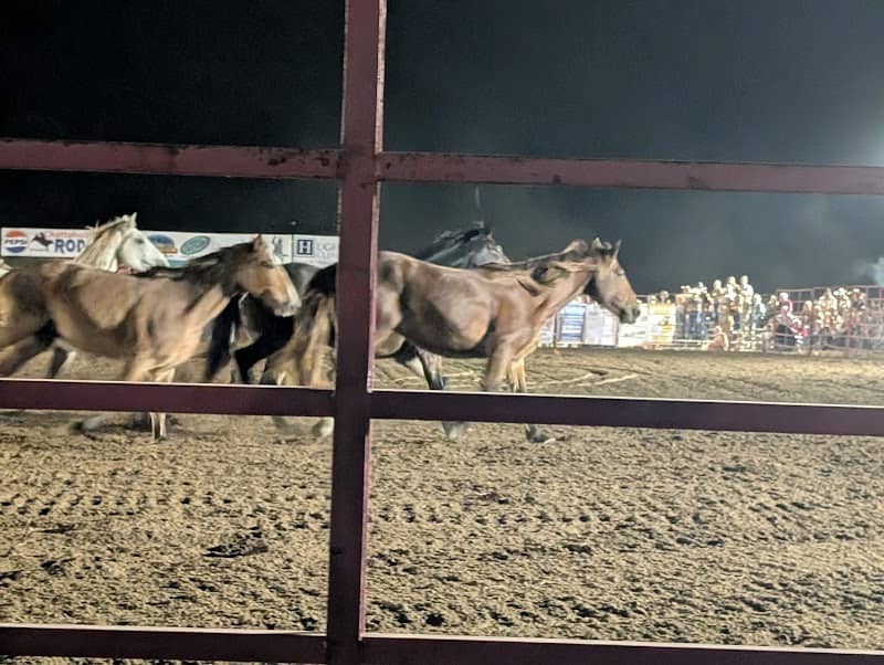 Chattahoochee Pro Rodeo - Image 1