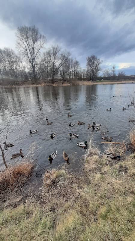 Zimoviště ptactva - Image 1