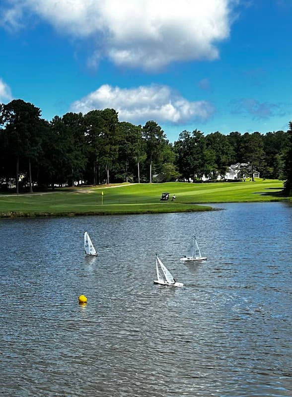 Turtle Pond - Image 1