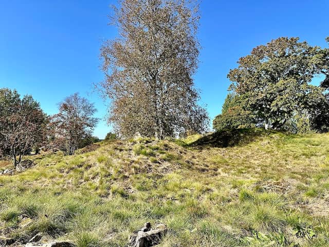 Gravfält Hamneda - Image 2