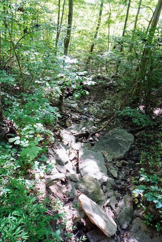 Woodland Trail, trailhead - Image 2