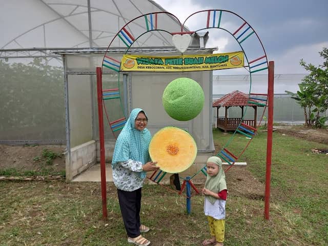 Wisata Petik Melon Kebocoran - Image 2