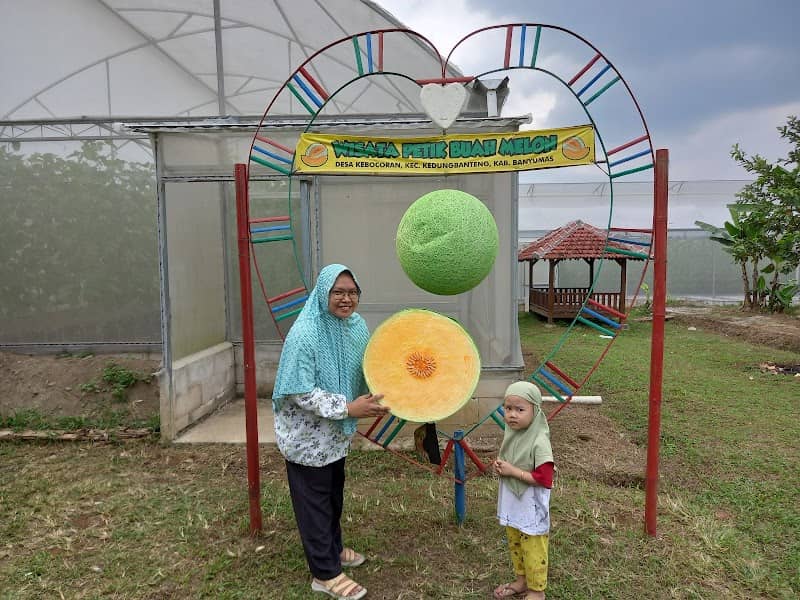 Wisata Petik Melon Kebocoran - Image 2