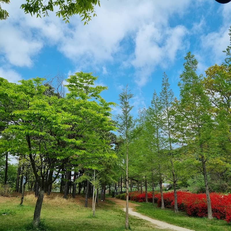 World Forest of Peace - Image 1