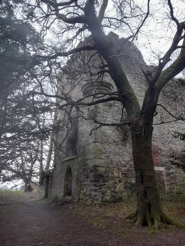 Kilmahew Castle - Image 2