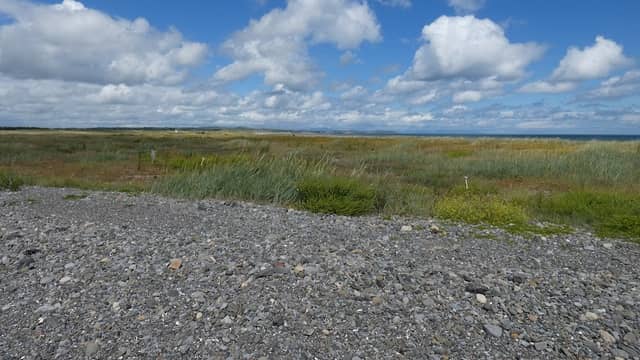 Louth Nature Trust (Little Tern Conservancy) - Image 1
