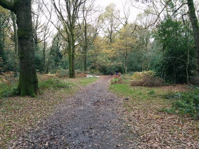 Clowes Wood Nature Reserve - Image 1