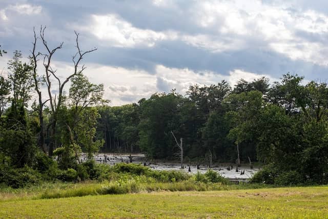 Lake Wallace Sensory Trail - Image 1