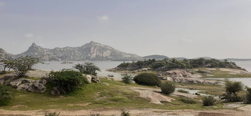 Jawai safari - Image 1