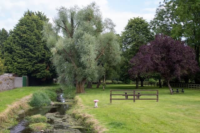 Castlelyons Park - Image 1