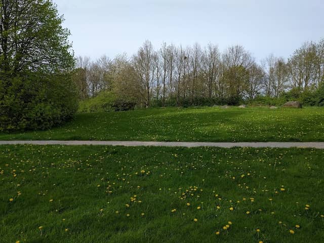 Bavnehøj - Image 1