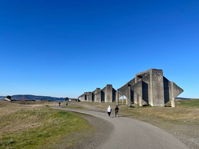 Chambers Bay Loop Trail Head - Image 1