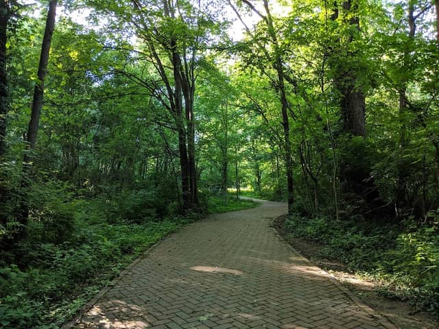 Anchorage 2 mile park and walking trail - Image 1