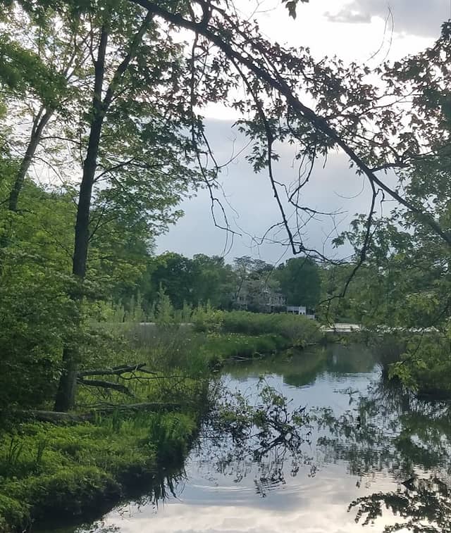 Anchorage 2 mile park and walking trail - Image 2