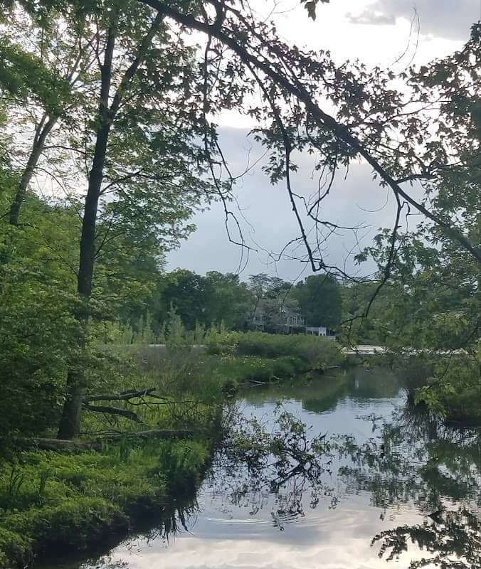 Anchorage 2 mile park and walking trail - Image 2
