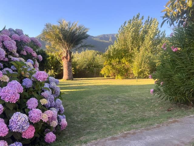 Eventos El Polo De Idahuillo - Image 1