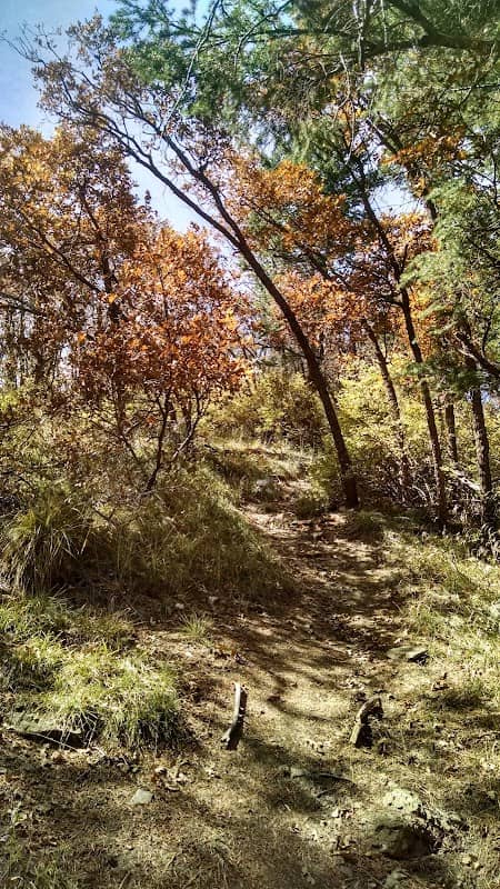 Capilla Peak Observatory - Image 3