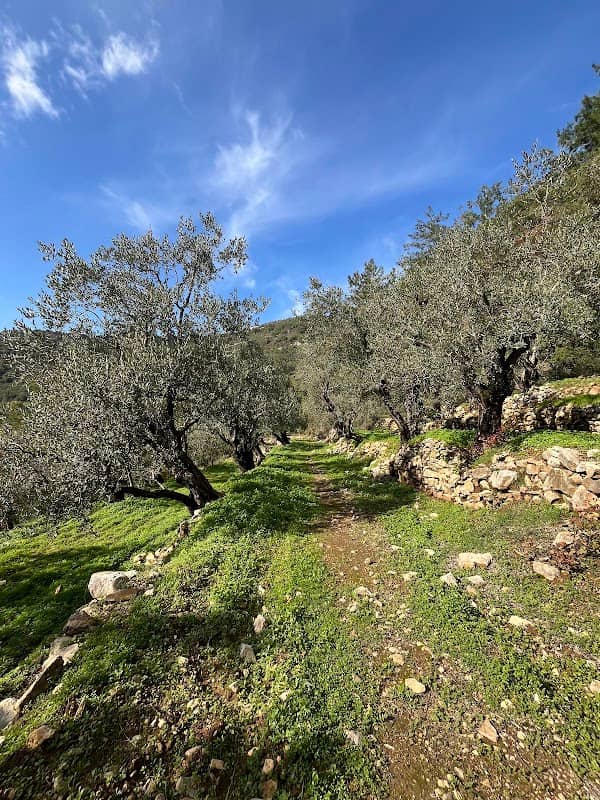 exploralb - Image 1
