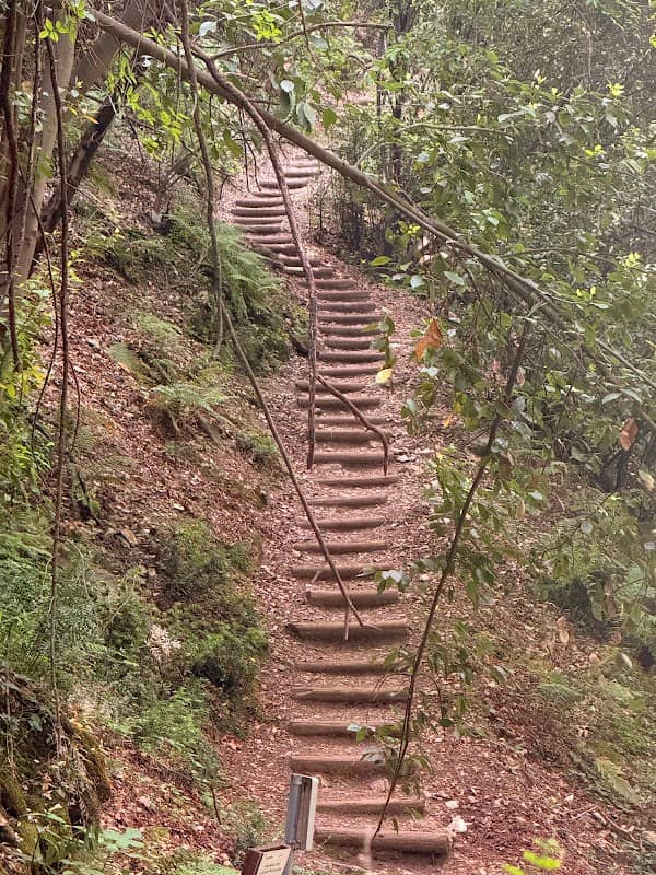 exploralb - Image 2