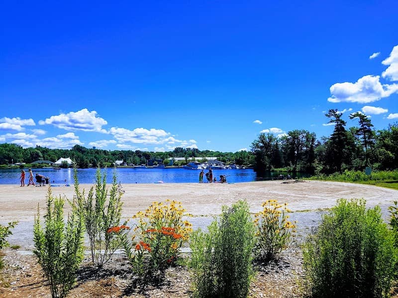 Lakefield Beach and Playground - Image 1