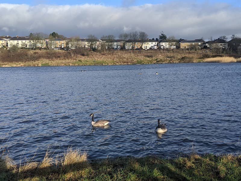 Parc Nant-Y-Waun - Image 2