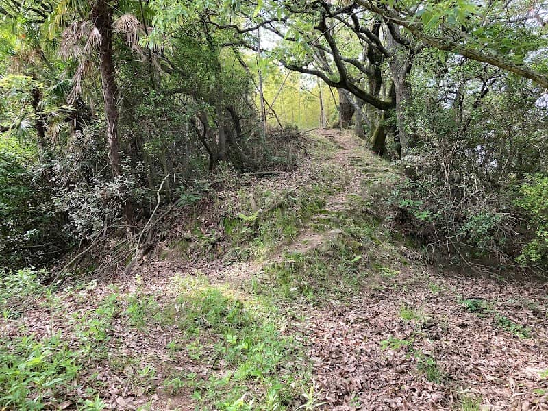 Aoki-jo Castle Ruins - Image 2