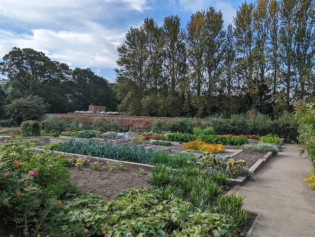 The Walled Garden - Image 1