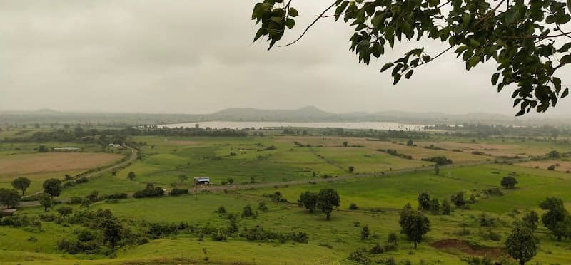 Peepal hill - Image 2