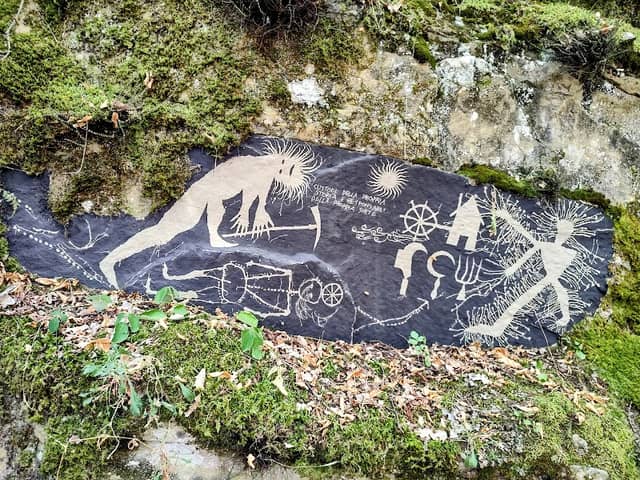 Lingua di muschio e denti sasso - Image 1