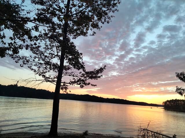 Lake Hartwell State Park - Image 3